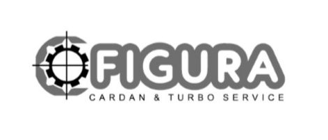 200306_Figura Logo